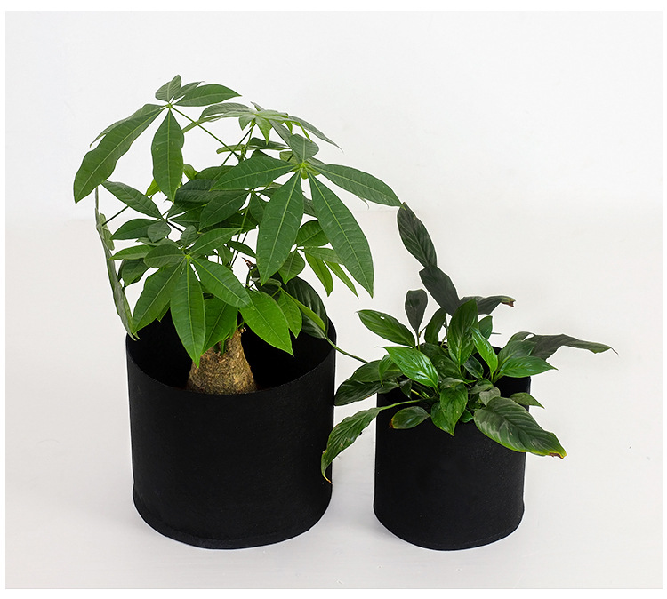 Unleash Your Green Thumb with Our Premium Plant Grow Bags