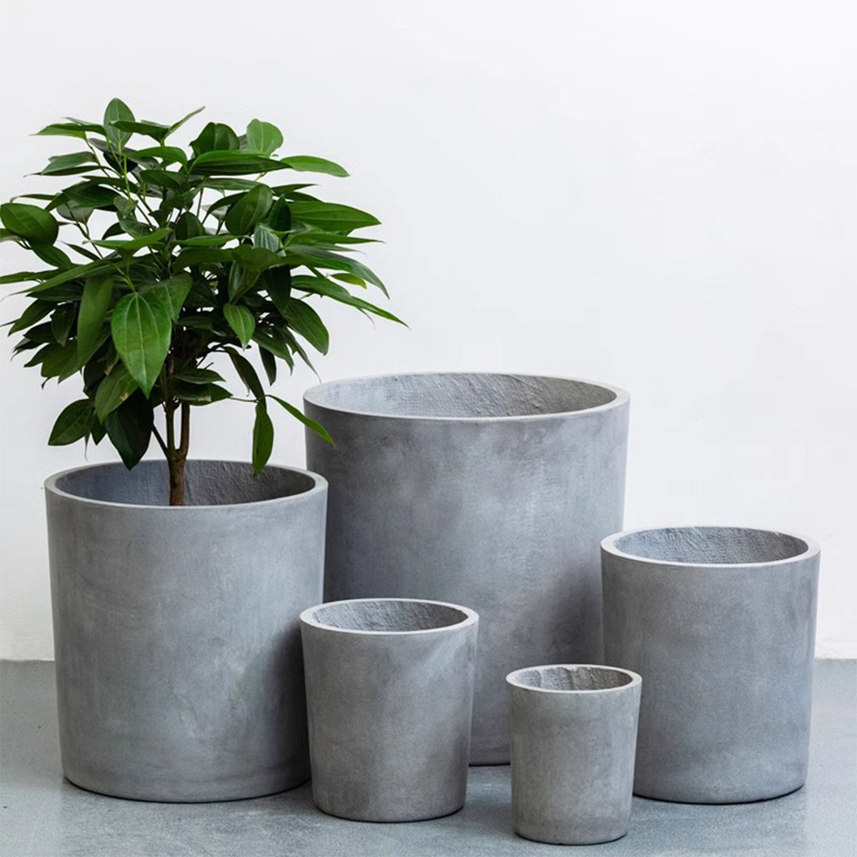 Discover the Future of Gardening: Magnesium Cement Planters