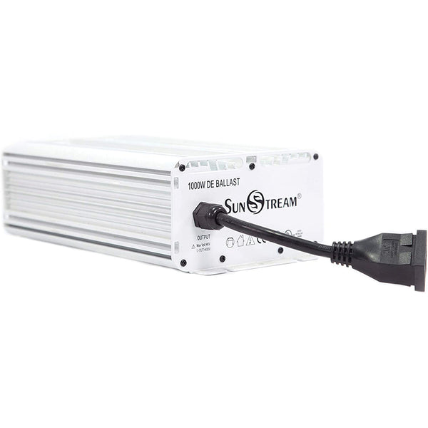 How Many Watts Does an Electronic Ballast Consume: Essential Guide