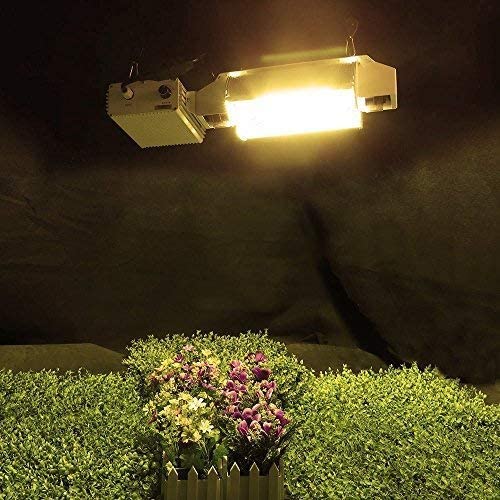 SunStream 1000 Watt CMH Ceramics Metal Halide Grow Light Lamp Bulb Superior Master Color CDM for Flowering and Fruiting CCT 3100K