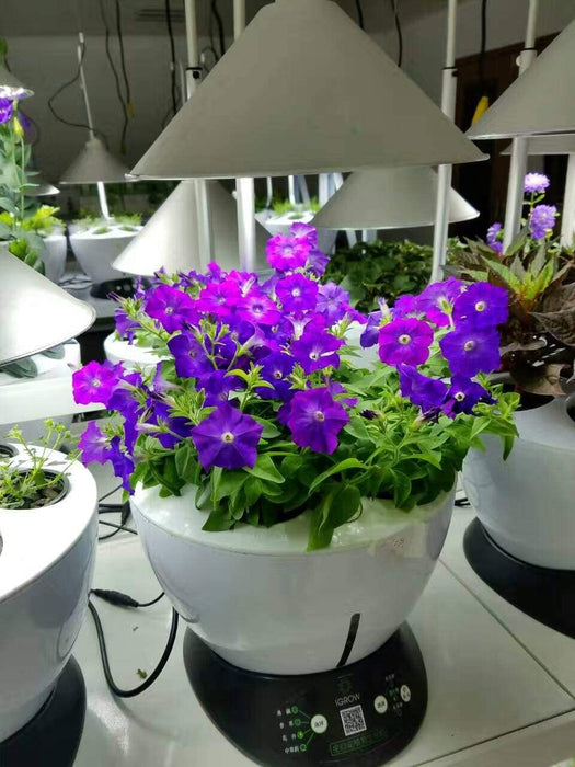 Sunstream LED Grow Light, Indoor Smart Garden, Herb Garden Hydroponics Growing System, Full Spectrum Plant Lights, Water Storage