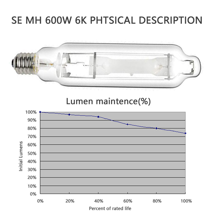 Raylux 2-Pack 600 Watt Metal Halide MH Conversion Grow Light Bulb Lamp - Enhanced Blue and Violet Spectrums CCT 4200K, 60,000 Lumens