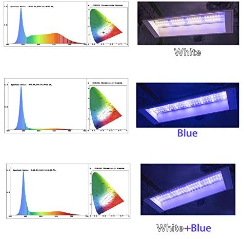 SunStream 19W LED Full Spectrum Grow Light, 3 Lighting Modes White/Blue/White+Blue, 5.5ft Power Cord and Chain Hanger Included